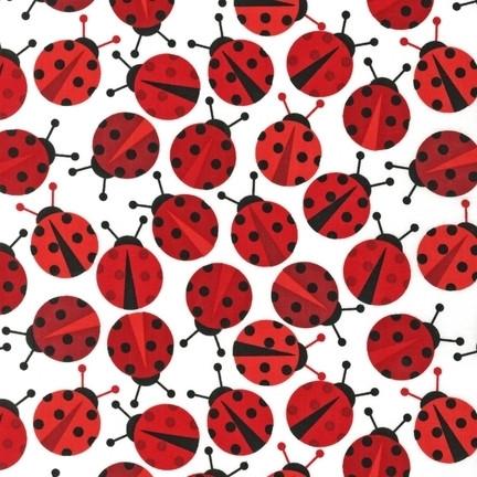 Red Ladybug
